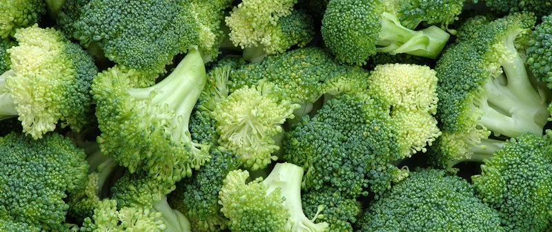 5amtag_broccoli_m.jpg