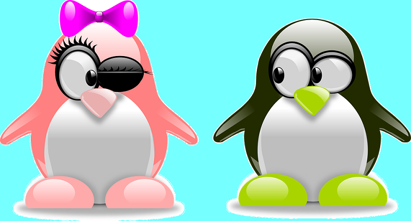 penguins-157418_960_720.png