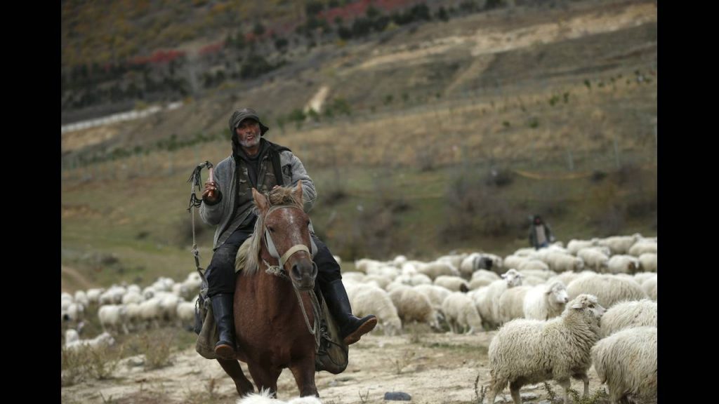 GEORGIA-AGRICULTUREREUTERS-David-Mdzinarishvili