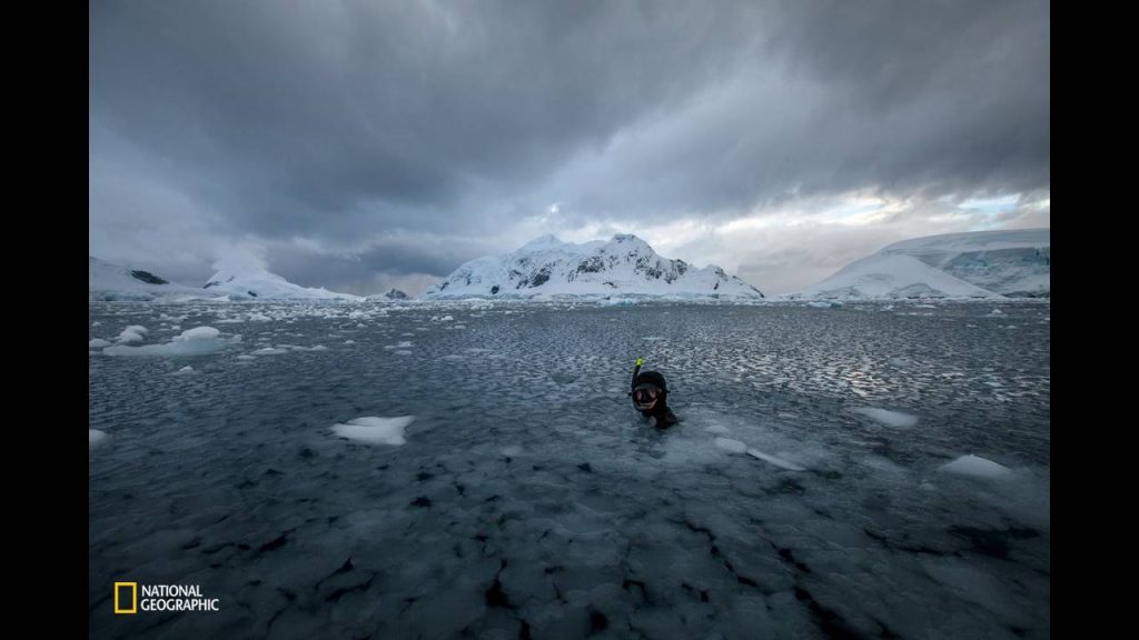 a-diver-prepares-for-a-freediving-session-in-snow-hill-antarctica