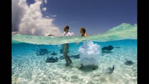 stingray-city-in-the-grand-cayman-where-a-newlywed-couple-embarks-on-their-new-adventure-through-the-areas-crystal-clear-water