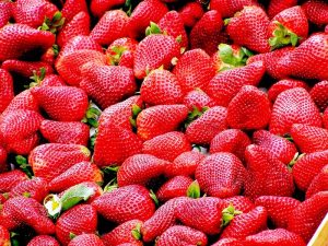 strawberries-99551_960_720.jpg