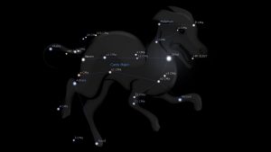 canis-major-constellation