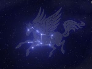 2185ff01842f92f609822fa64d501aa3--pegasus-constellation-constellations