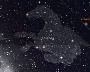 3b74b1679cc6a62bd555f7d235b51d1e--pegasus-constellation-constellations