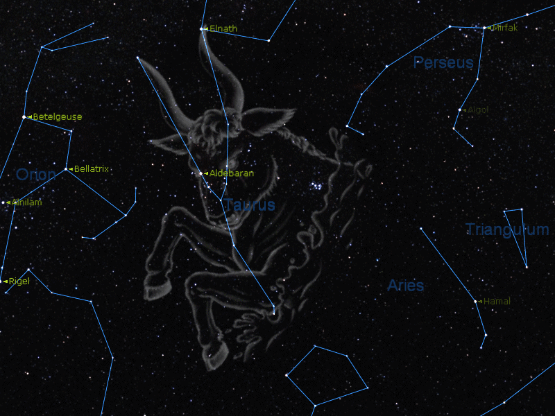 Созвездие 54. Созвездие Taurus - Телец. Звезда альхека Созвездие тельца. Таурус Созвездие. Астеризмы в созвездии тельца.